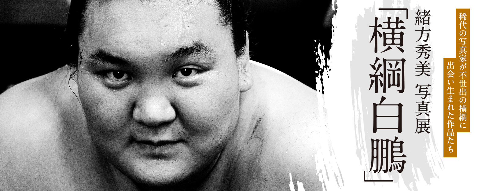元横綱 白鵬 ブロマイ写真額入り 緒方秀美 写真展「横綱 白鵬」