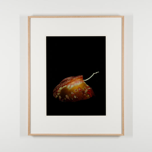 Red-glazed detailed drawing of people, flowers and birds, floor plan, flower vase