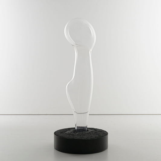 Vestige V