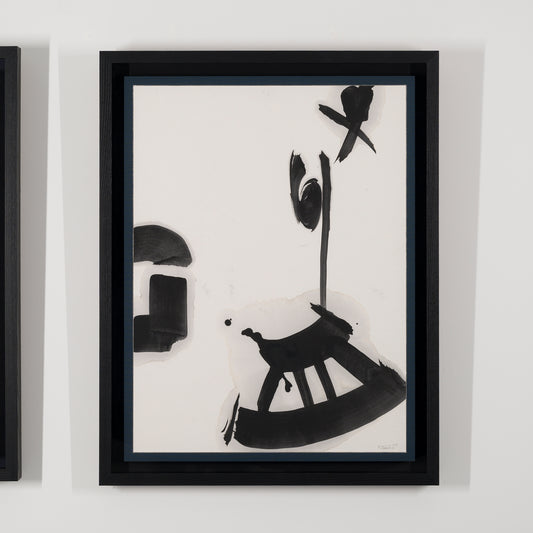 Non-material Existence G-13, Cosmic Dust