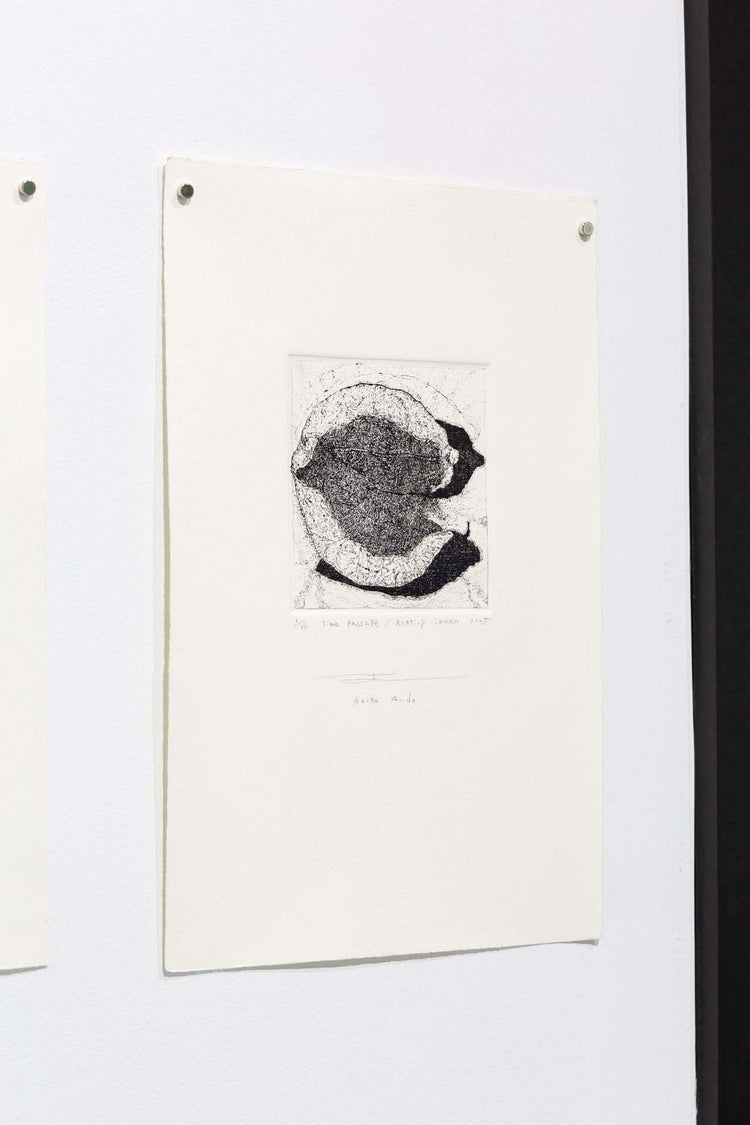 Time Passage/Rotting Lemon