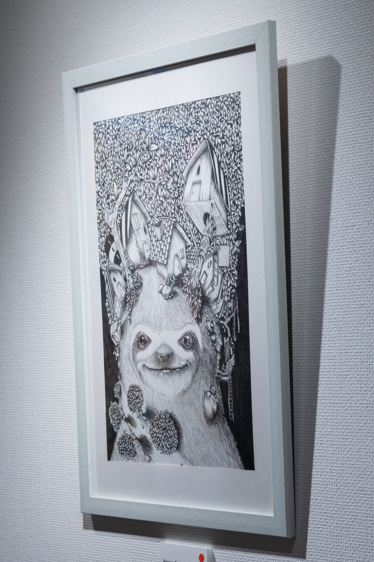 Racoon Forest