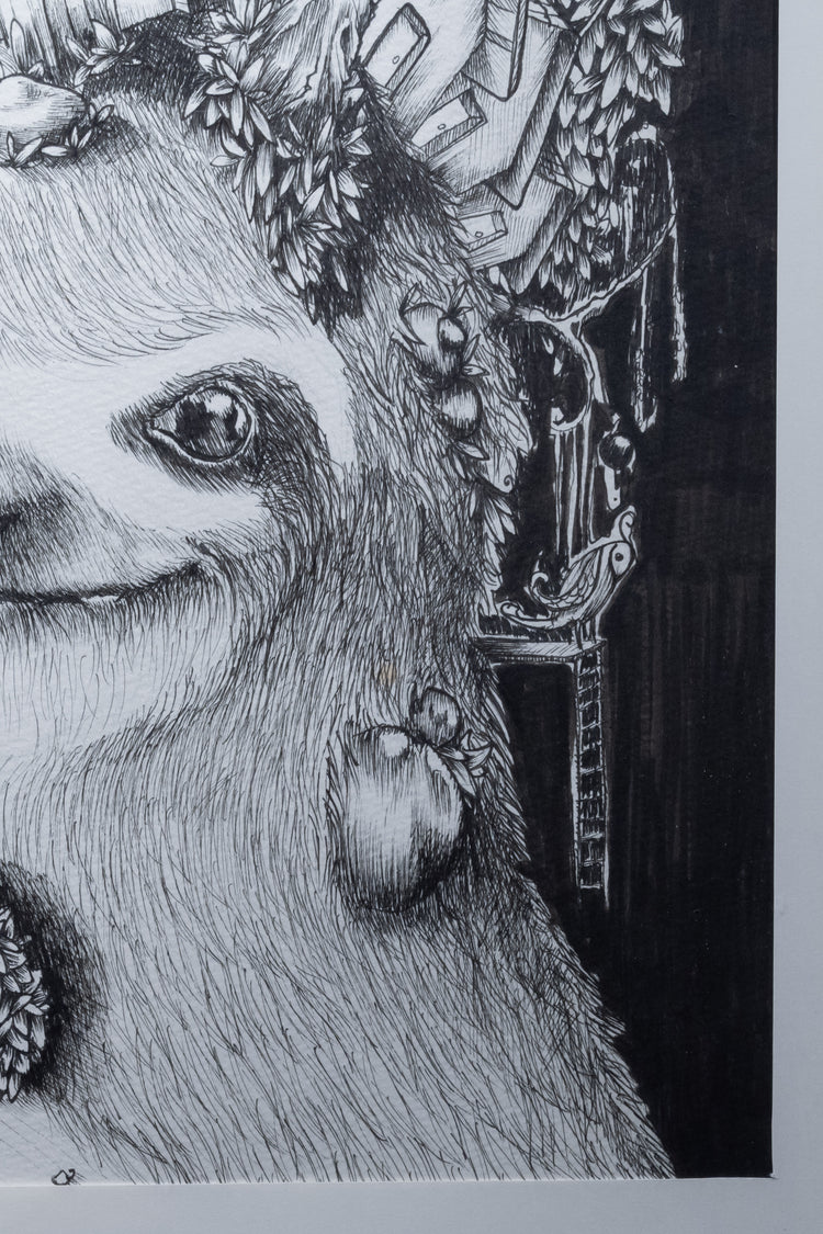 Racoon Forest