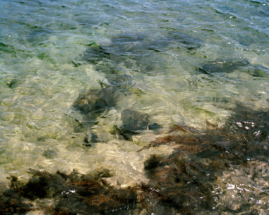 Seventeen Sea Portraits #15 (Tsuruga City, Fukui Prefecture)