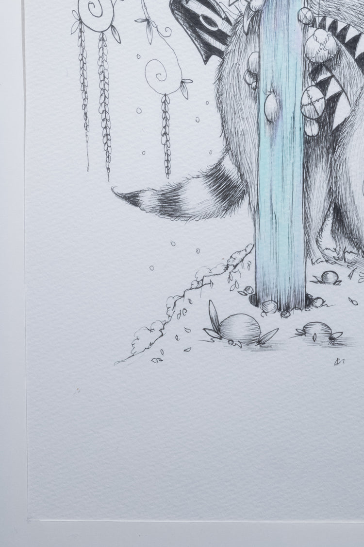 Racoon Village