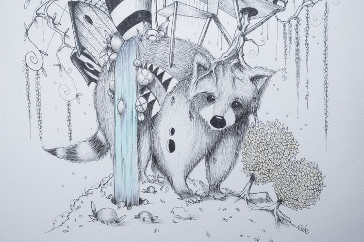 Racoon Village