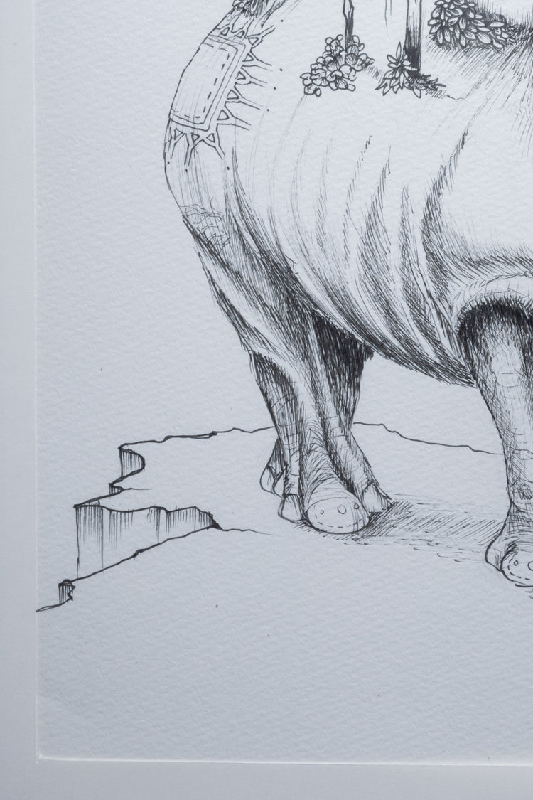 rhino village
