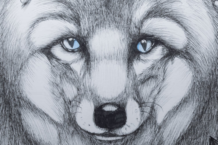 Wolf Forest