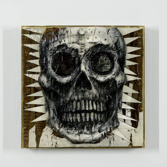 Skull-Guide- (#flash #moment)