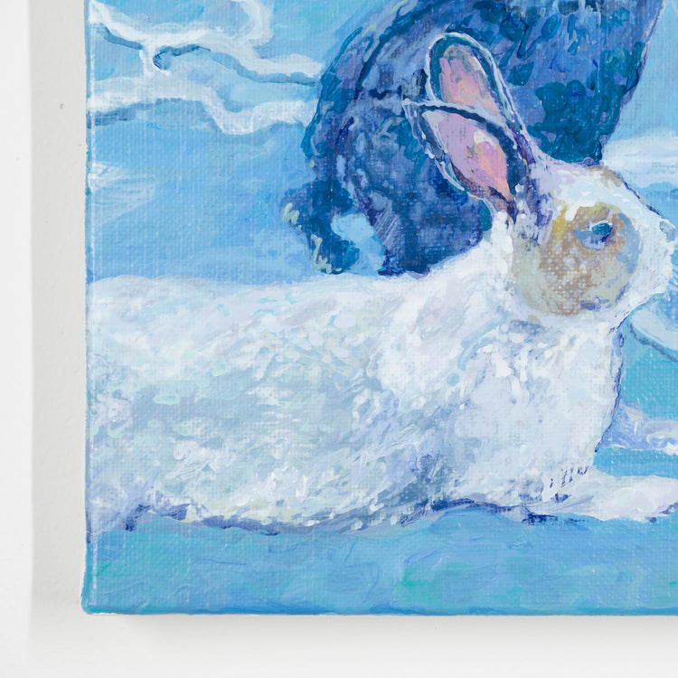 Island Rabbits 02