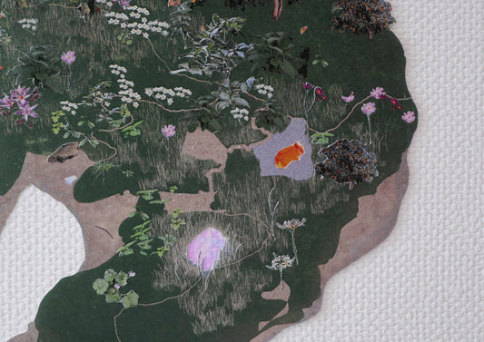 Kinmokuseiyama Hot Springs