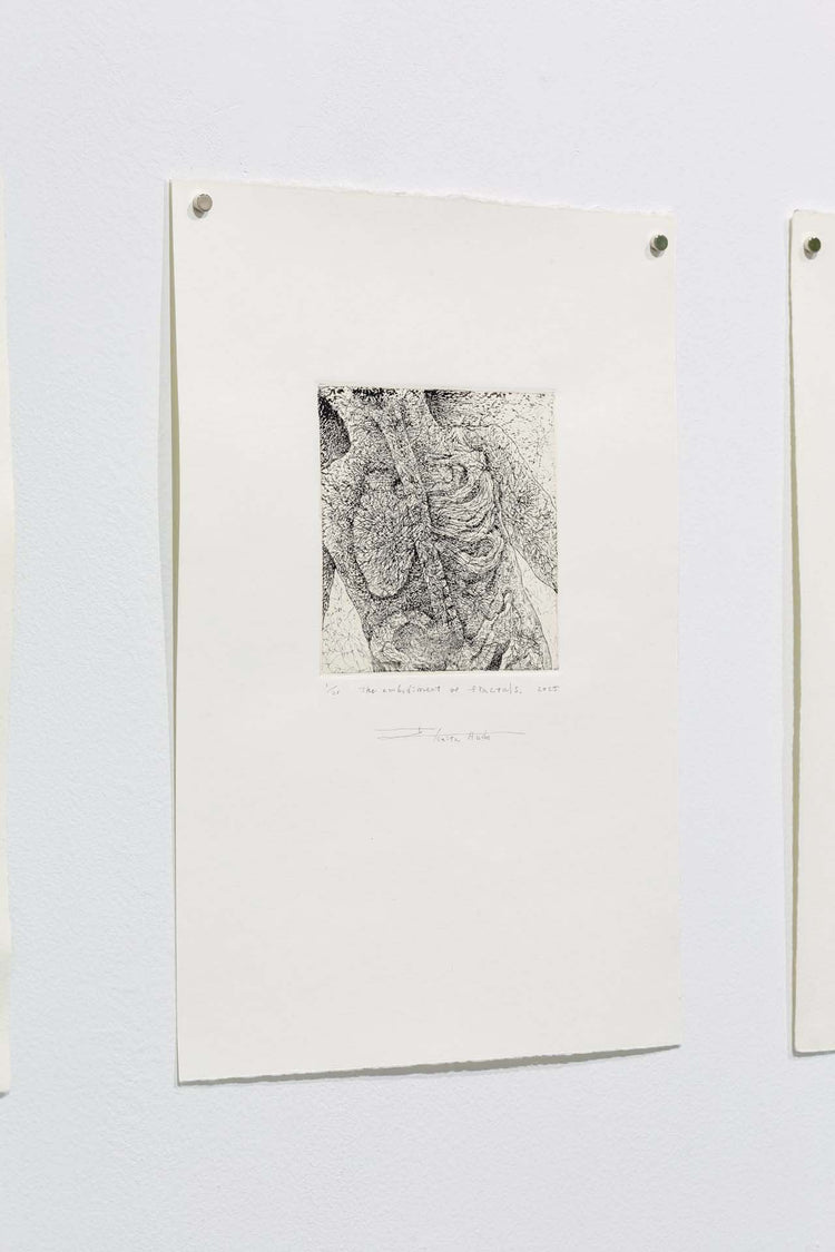 The embodiment of fractals