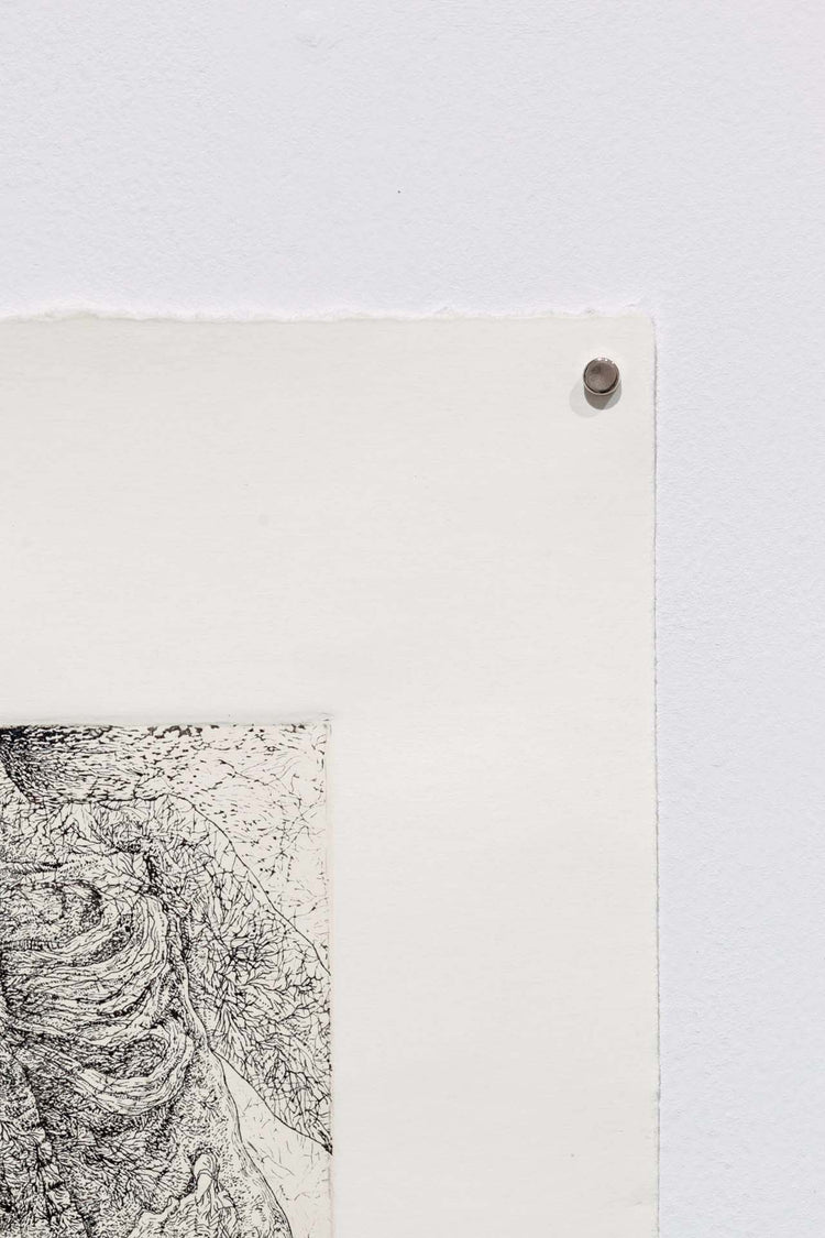 The embodiment of fractals