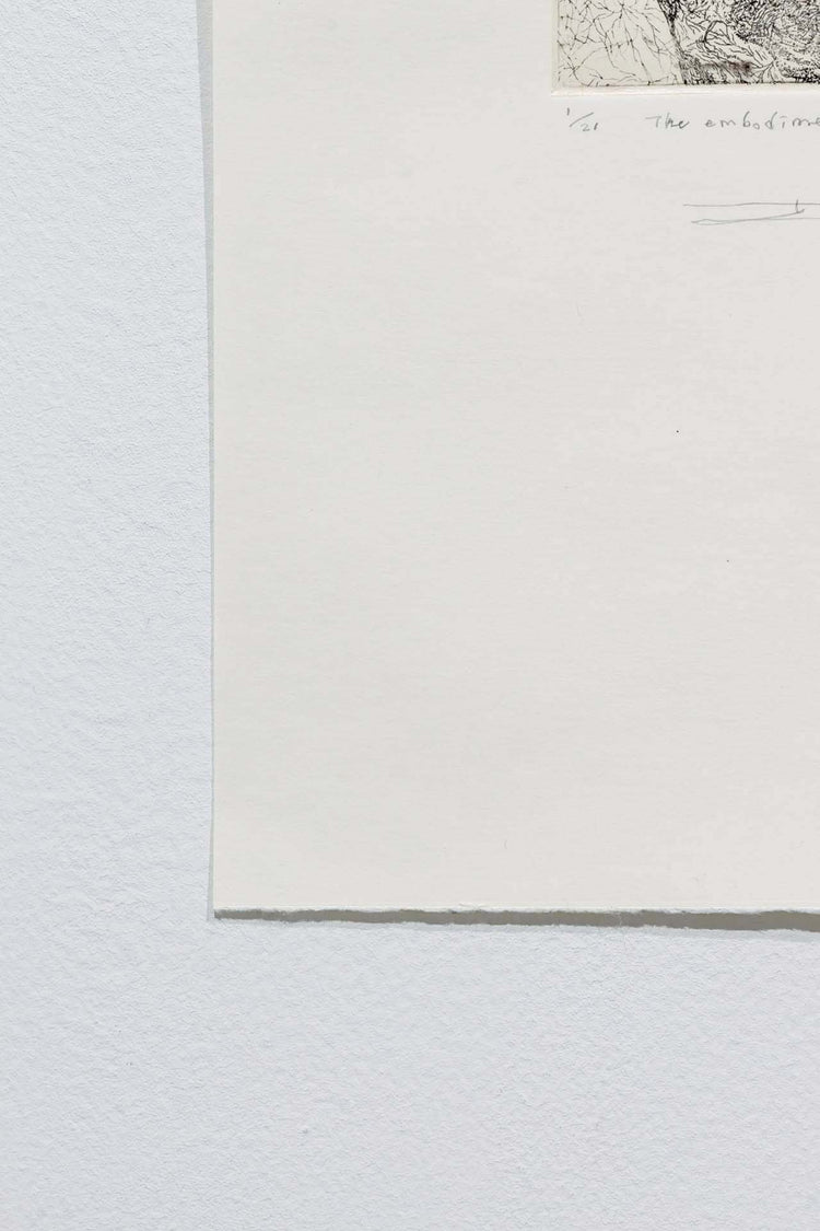 The embodiment of fractals