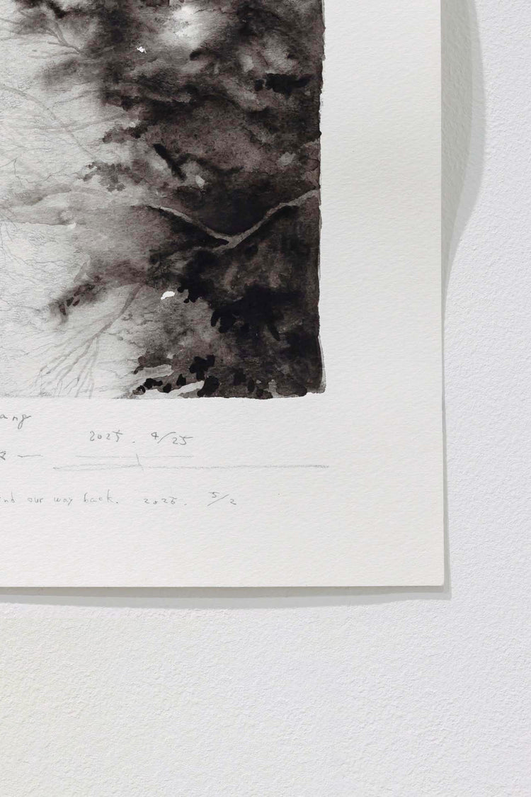 Japanese trees