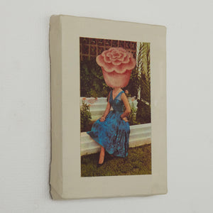 Ms.Garden