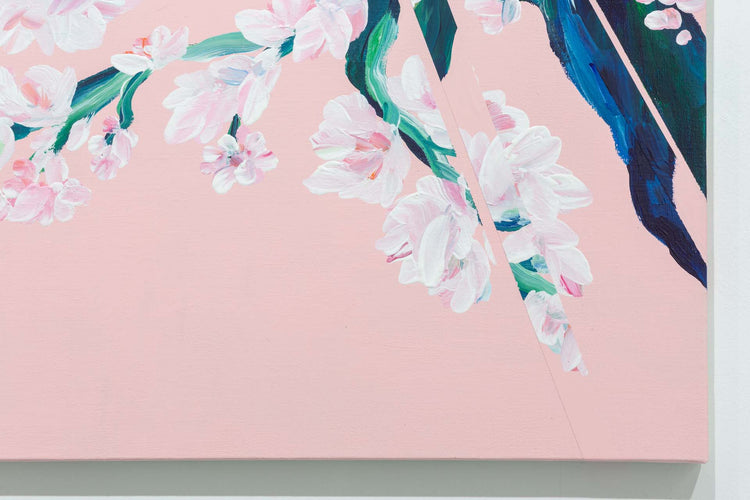 pink back slipped cherry blossom