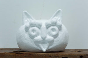 White Cat