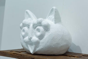 White Cat