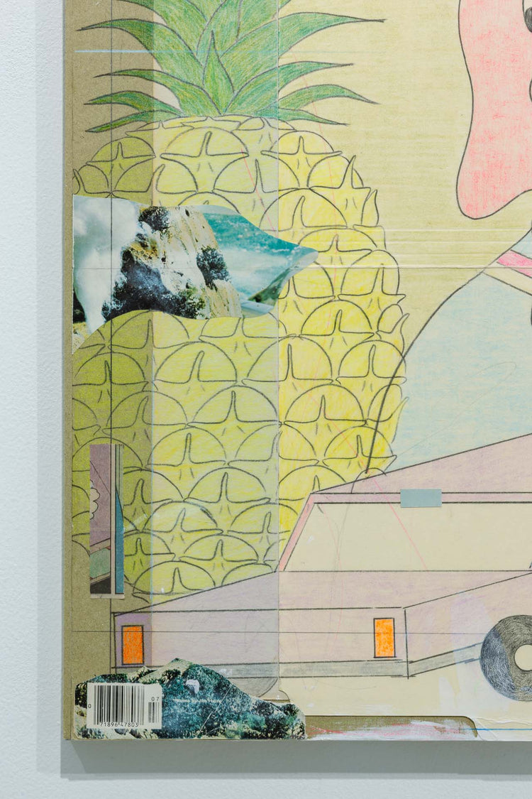 Pineapple,Car,Genius Boy