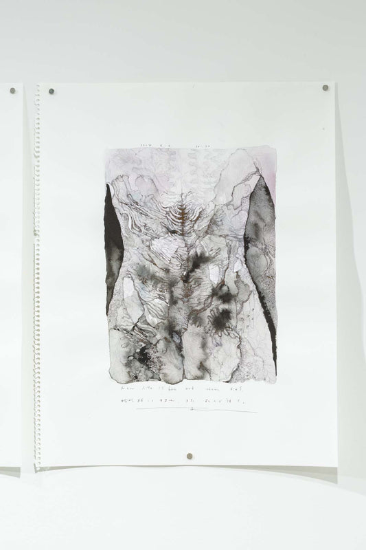 Life is born, dies, and passes on.