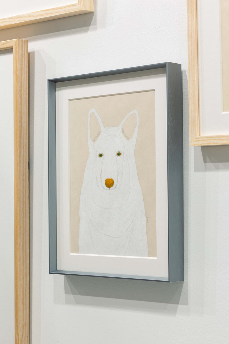 犬