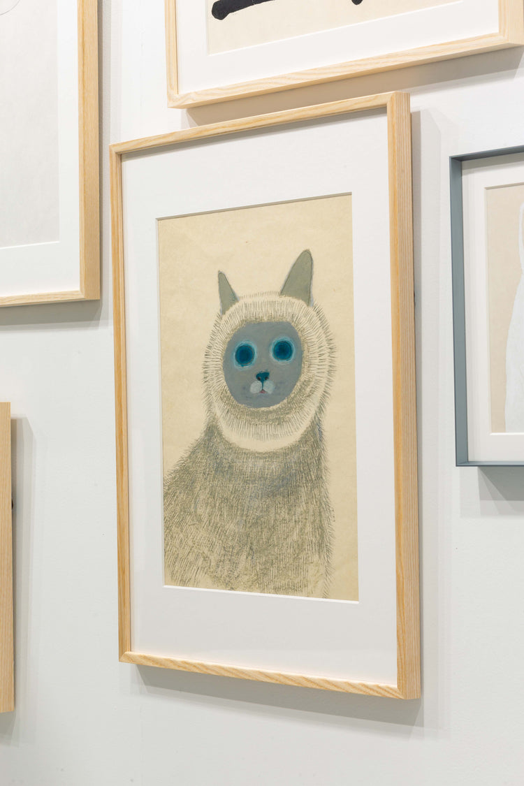 青い目の猫