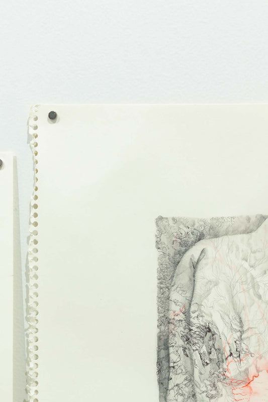 The flames rise so high they are invisible to the naked eye, and the bodies burn to nothing.