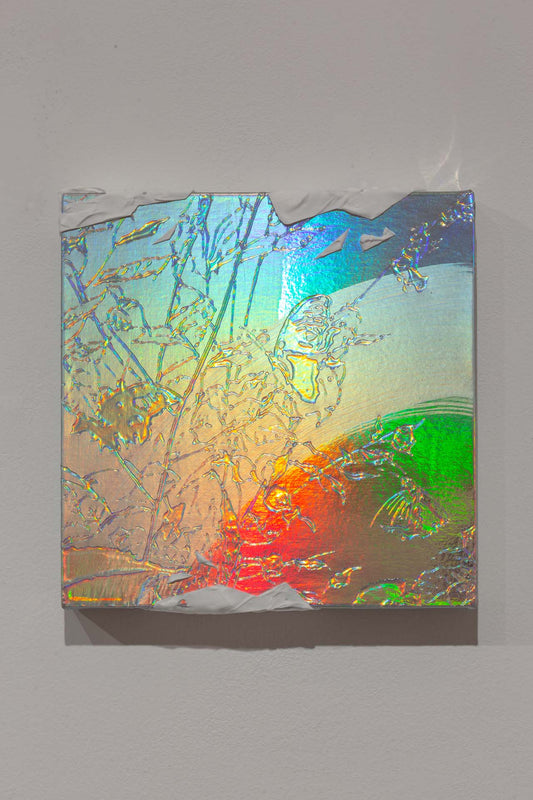 Black Triplet Butterfly