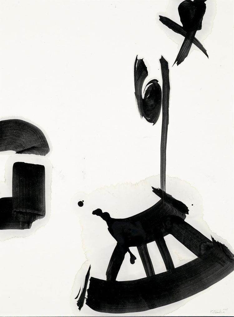 Non-material Existence G-13, Cosmic Dust