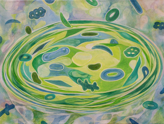 天野百恵《森SOUP》2024