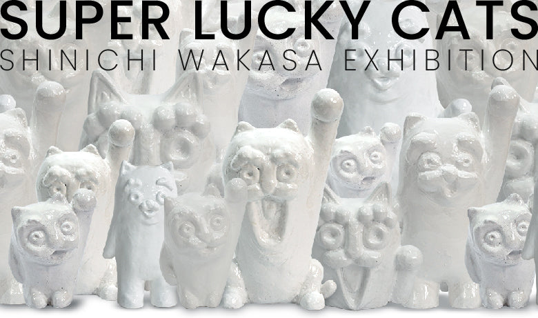 Shinichi Wakasa solo exhibition