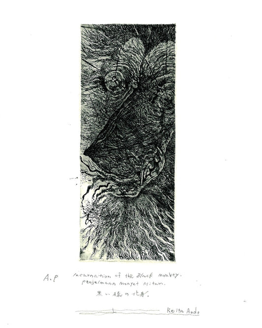 Black monkey incarnation