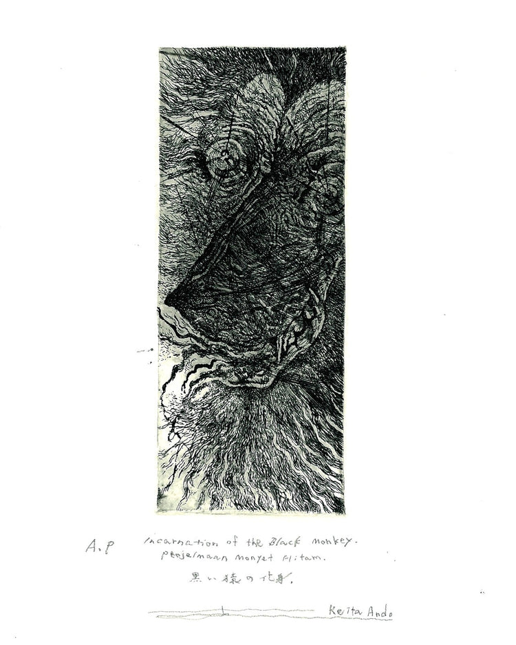 Black monkey incarnation