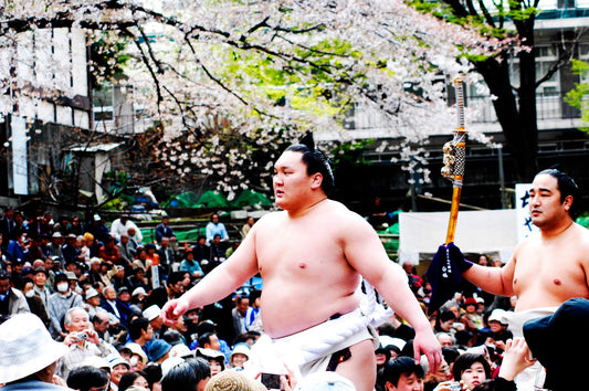 Yokozuna Hakuho XIV