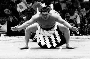 横綱白鵬 II
