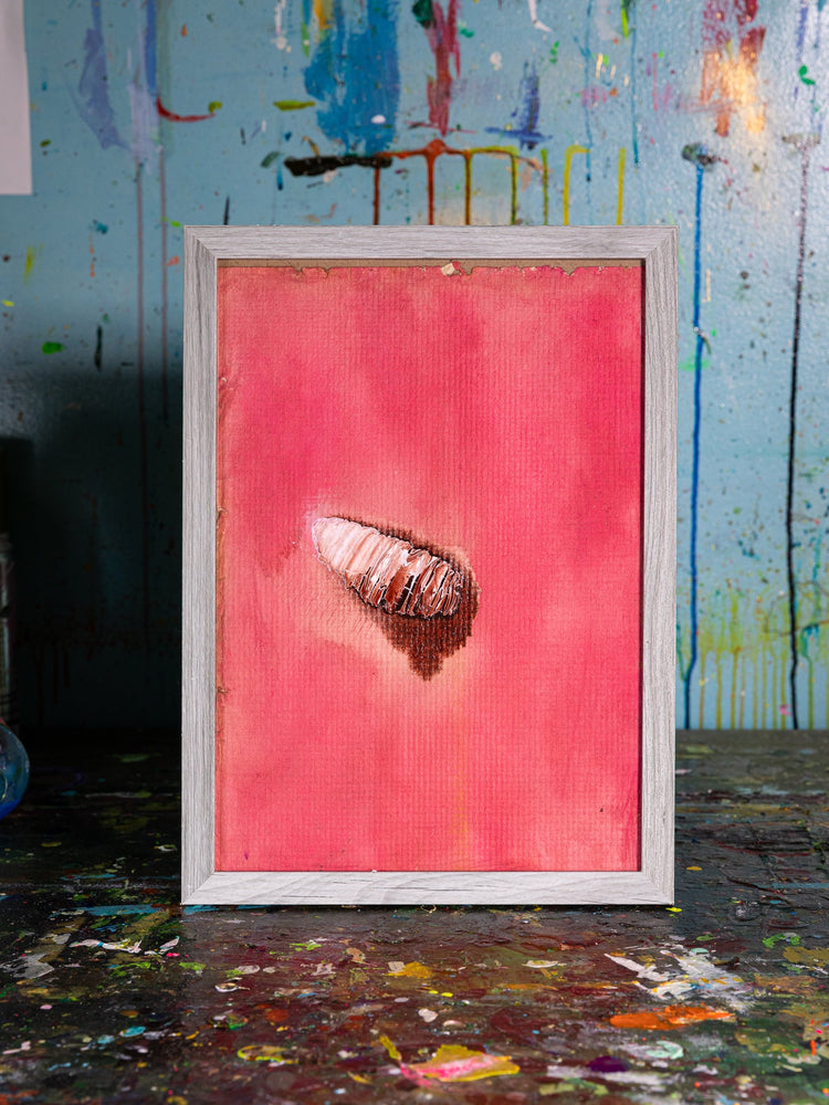 pupa-like taro