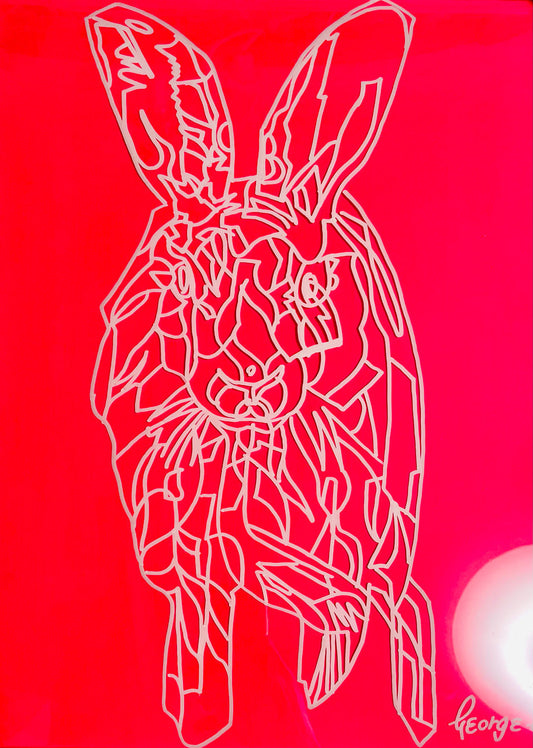 Run Rabbit TAGGING 1/5