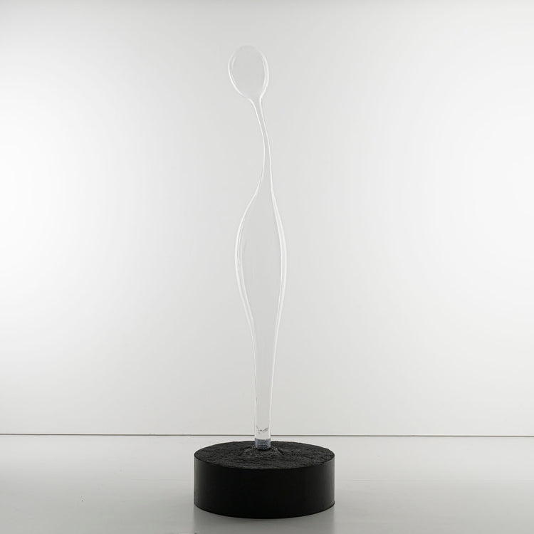 Vestige IV