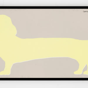 Yellow message: complex tail