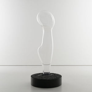 Vestige V