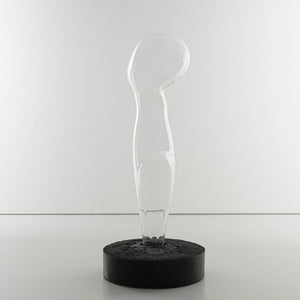 Vestige V