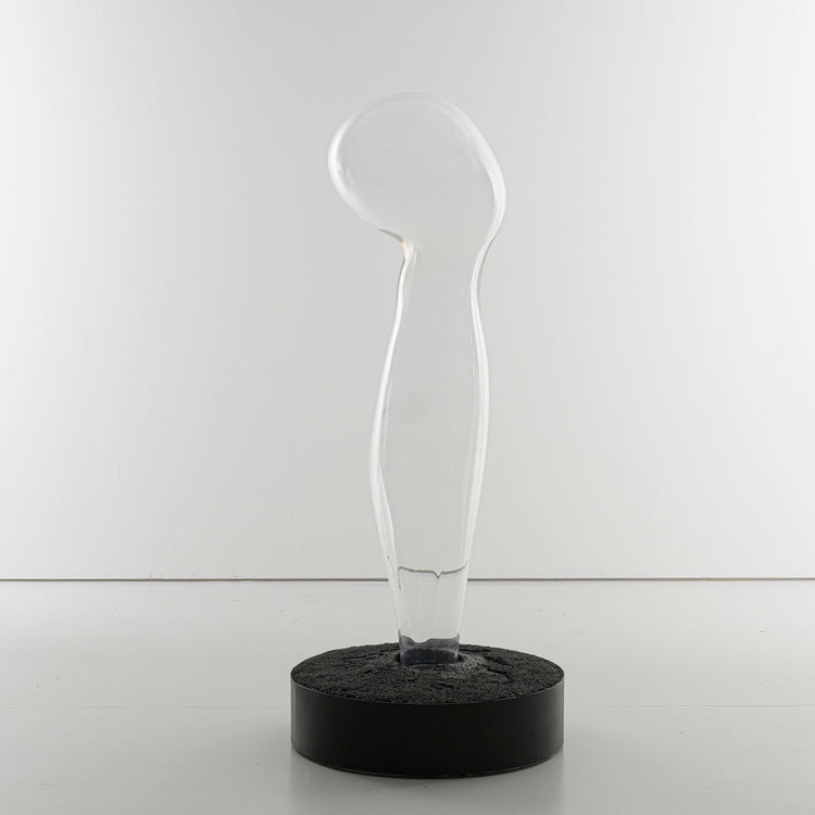 Vestige V