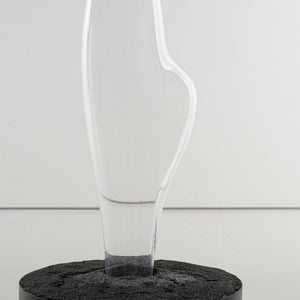 Vestige V