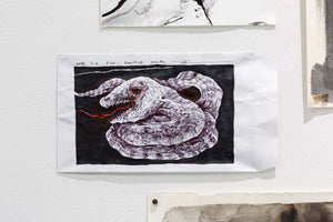 Fire - breathing snake