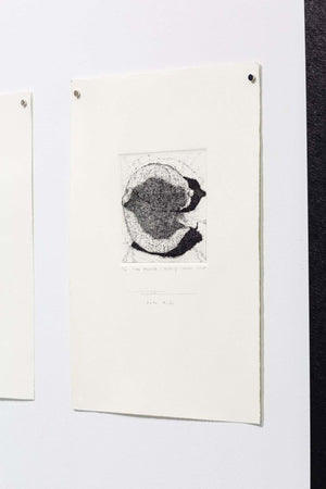 Time Passage/Rotting Lemon