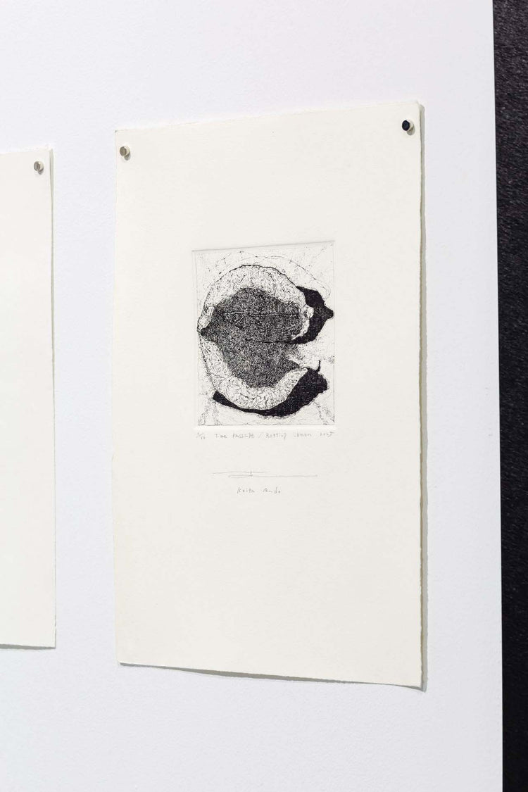 Time Passage/Rotting Lemon