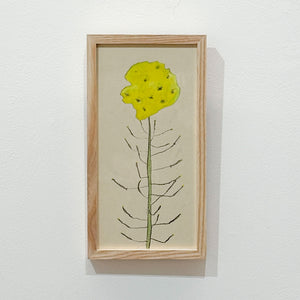 菜の花
