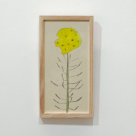 菜の花