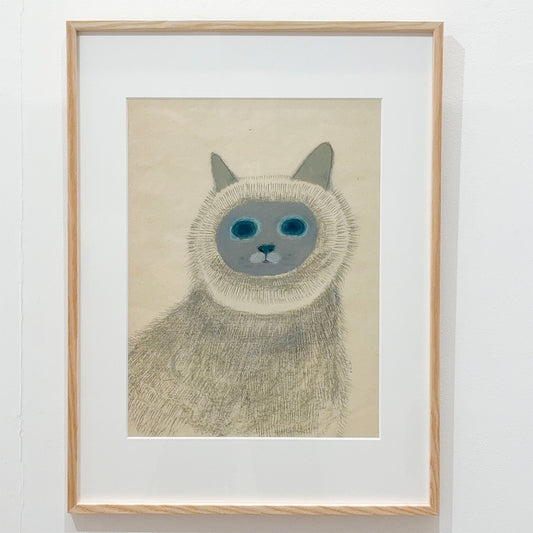 青い目の猫